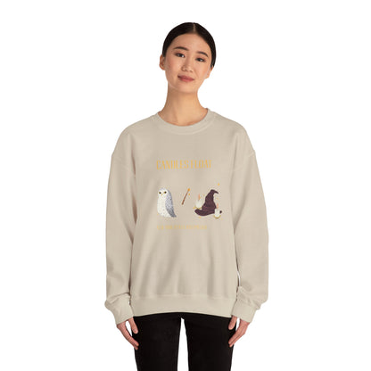 Whimsical Owl Crewneck Sweatshirt, Cozy Fall Apparel, Gift for Nature Lovers, Halloween Sweater, Cute Animal Sweatshirt - MaisonThreadory