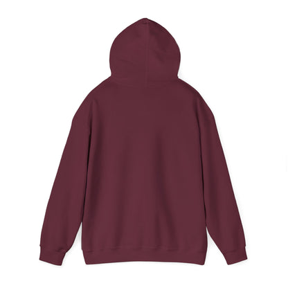 Gnome-Themed Unisex Hoodie: Cozy Fall Sweatshirt, Autumn Style, Perfect for Thanksgiving, Gift for Gnome Lovers, Seasonal Apparel