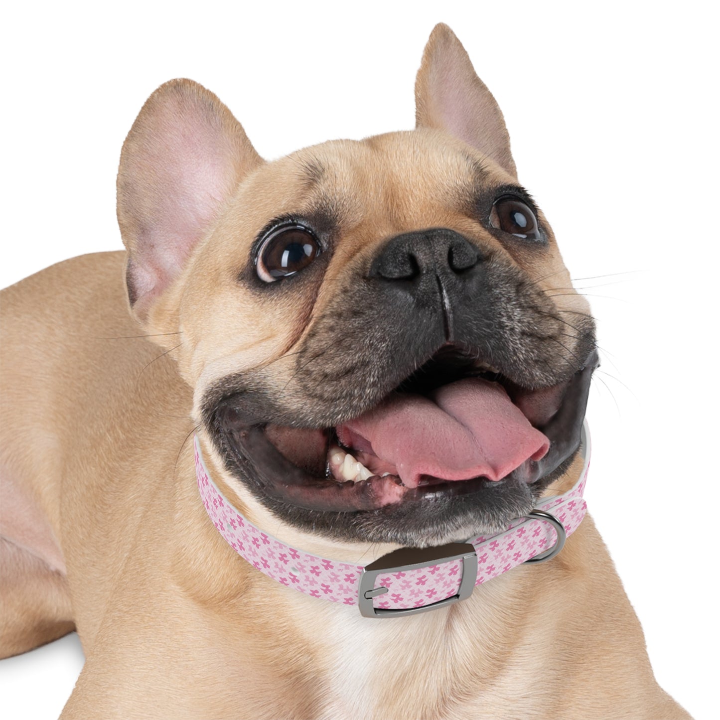 Cute Floral Dog Collar, Pet Accessories, Dog Fashion, Personalized Pet Gift, Pink Puppy Collar, Dog Walking Gear - MaisonThreadory