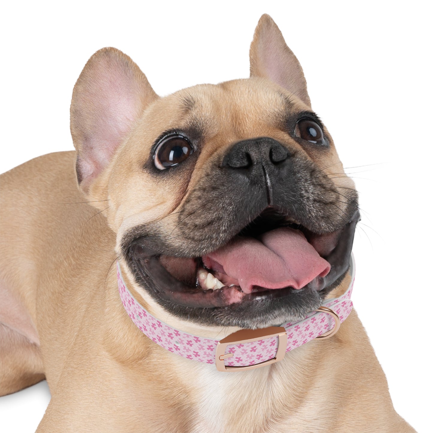 Cute Floral Dog Collar, Pet Accessories, Dog Fashion, Personalized Pet Gift, Pink Puppy Collar, Dog Walking Gear - MaisonThreadory