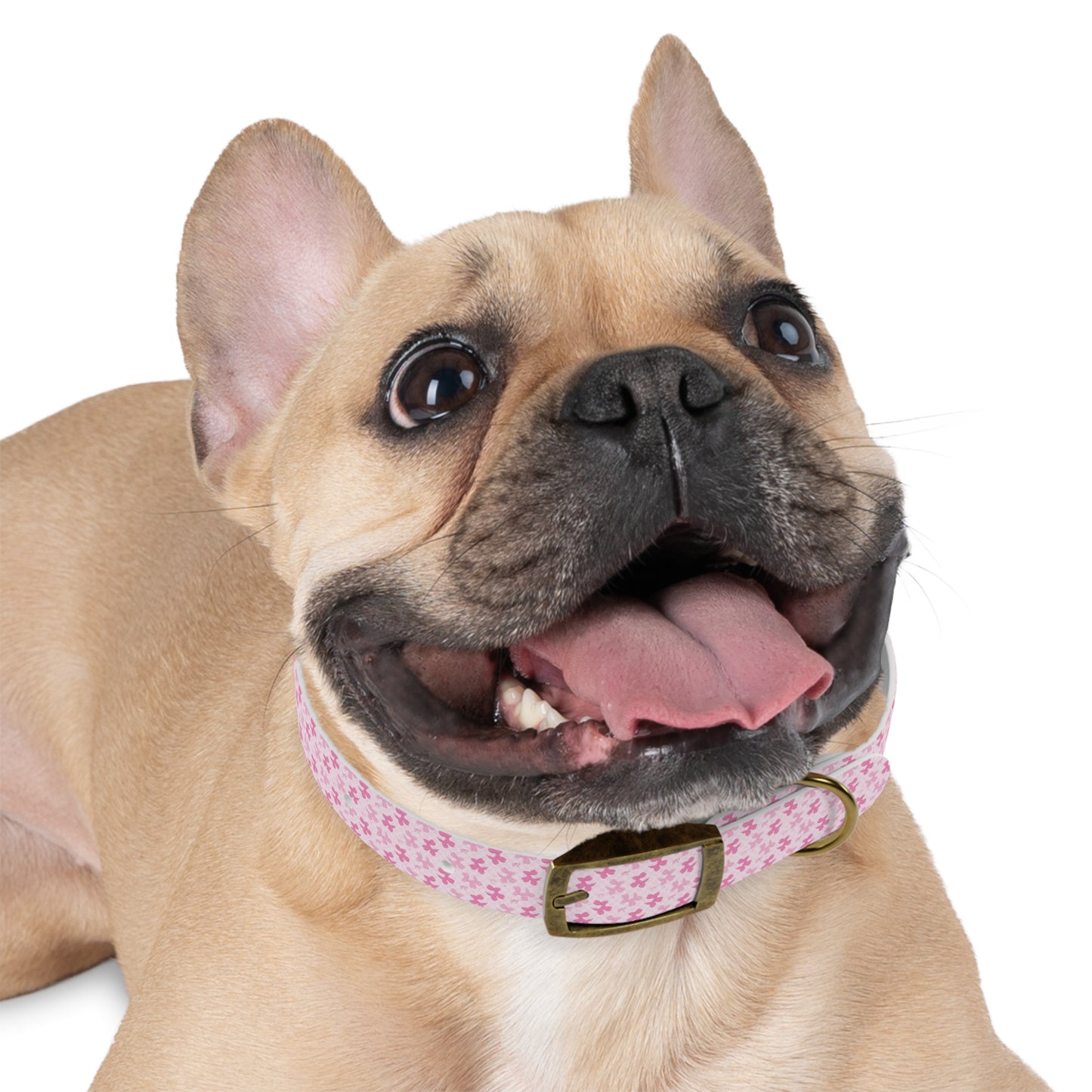 Cute Floral Dog Collar, Pet Accessories, Dog Fashion, Personalized Pet Gift, Pink Puppy Collar, Dog Walking Gear - MaisonThreadory