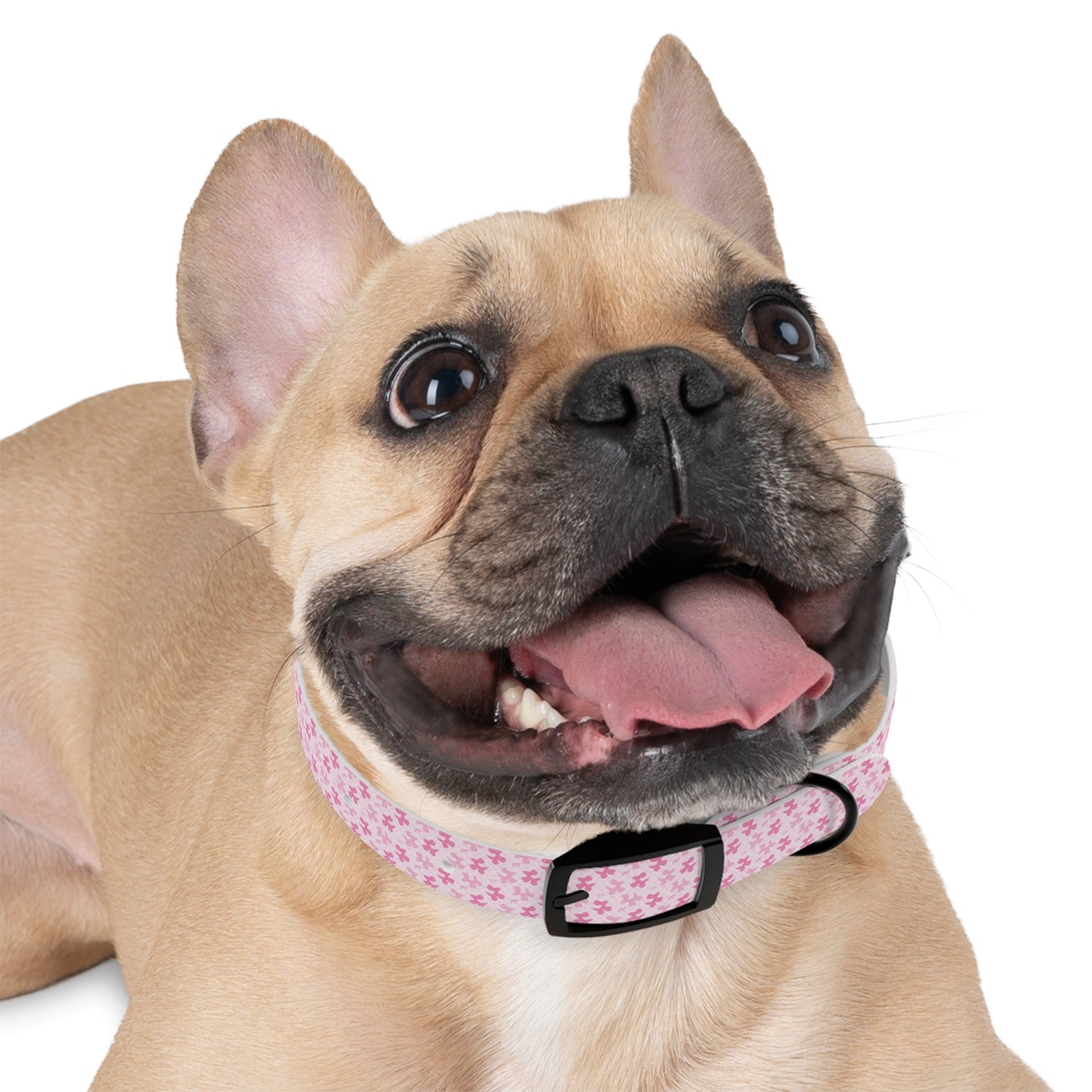 Cute Floral Dog Collar, Pet Accessories, Dog Fashion, Personalized Pet Gift, Pink Puppy Collar, Dog Walking Gear - MaisonThreadory