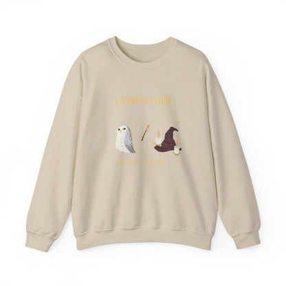 Whimsical Owl Crewneck Sweatshirt, Cozy Fall Apparel, Gift for Nature Lovers, Halloween Sweater, Cute Animal Sweatshirt - MaisonThreadory
